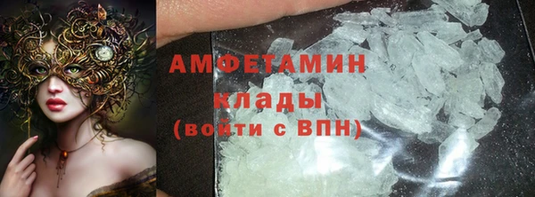 прущие грибы Кодинск