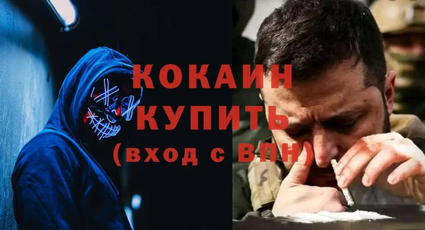 прущие грибы Кодинск