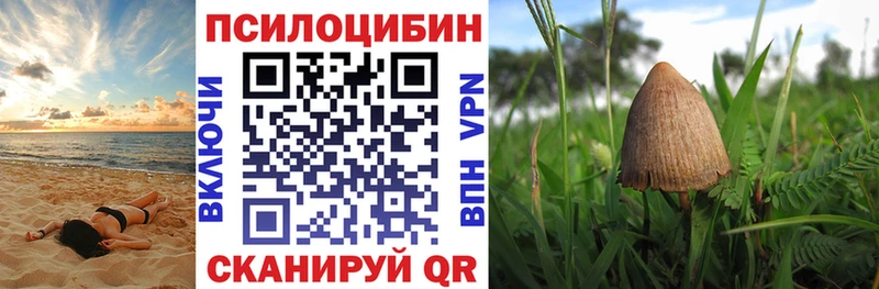 Псилоцибиновые грибы Magic Shrooms  Купить где  Белоярский 